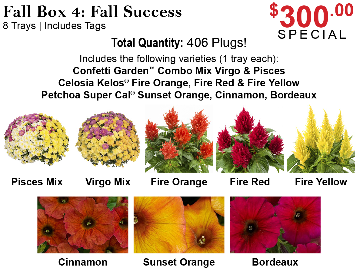 Fall Box 4: Fall Success - Fall Boxes